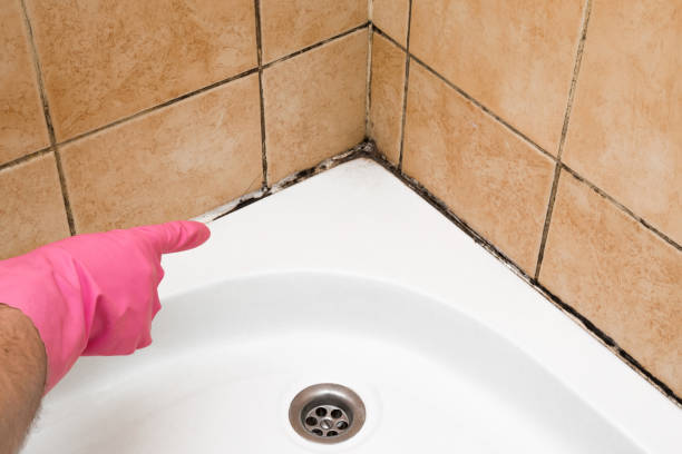 Best Mold Damage Repair  in Pleasant Run Farm, OH